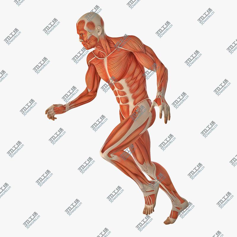 images/goods_img/202105072/3D Running Man Muscles Anatomy System/1.jpg